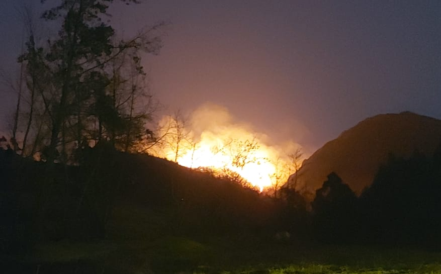 INCENDIO FORESTAL DEVASTA COMUNIDADES DE CCOHUA Y PUCAPUCA EN CURAHUASI